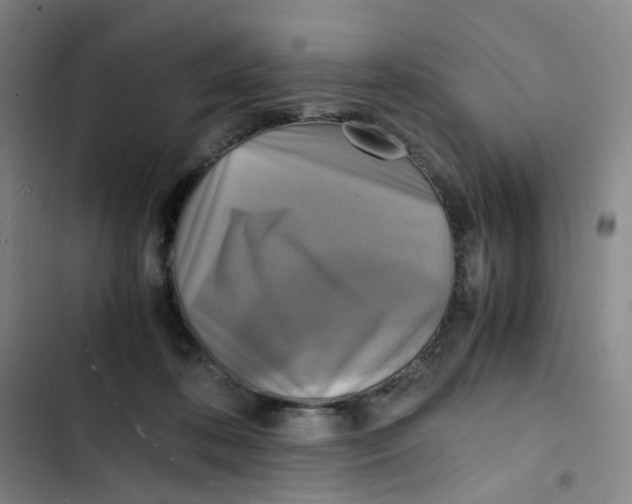 X0000102840316200809151110