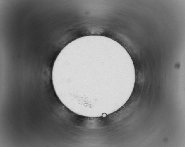 X0000102840321200809151110