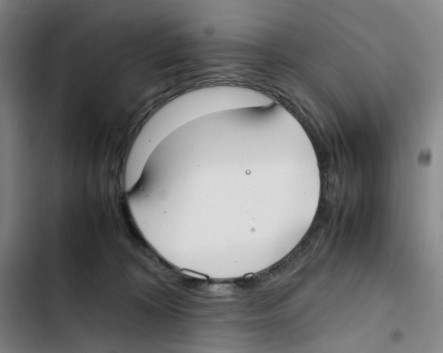 X0000102840324200809151110