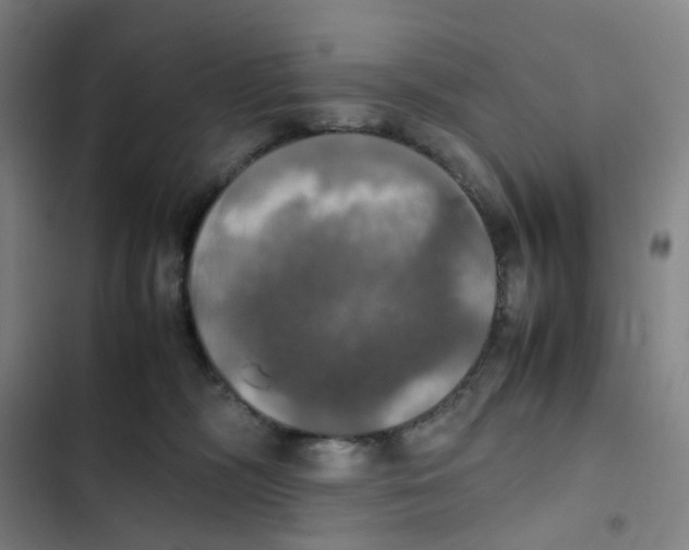 X0000102840326200809151110