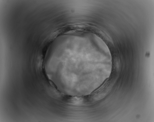 X0000102840328200809151110