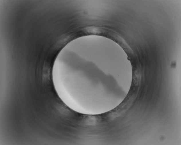 X0000102840330200809151110