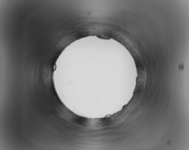 X0000102840333200809151110