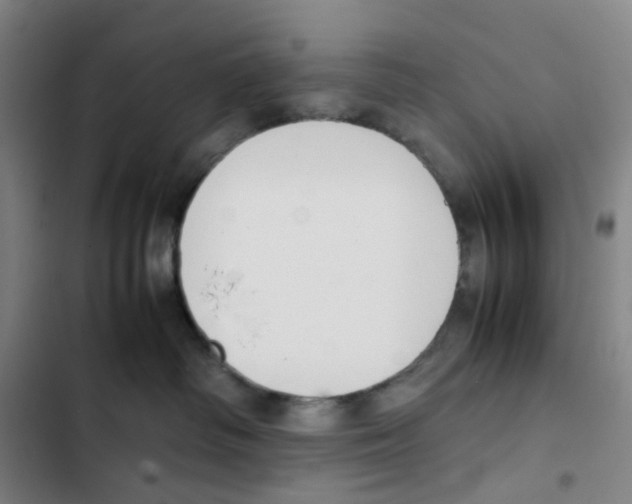 X0000102840334200809151110