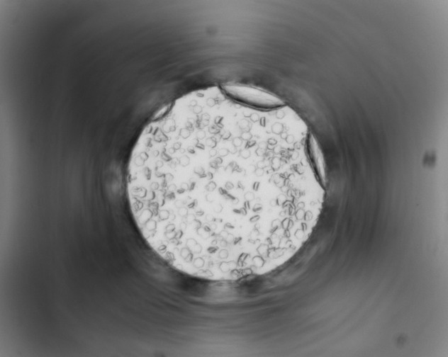 X0000102840335200809151110