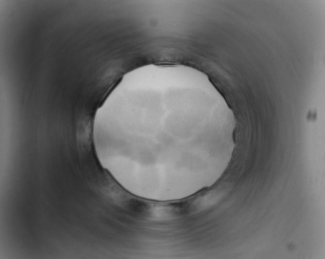 X0000102840336200809151110