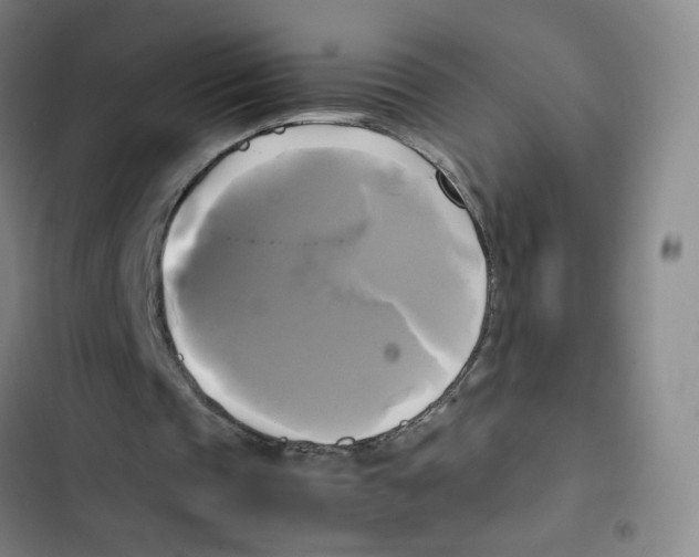 X0000102840337200809151109