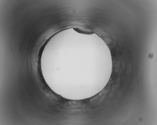 X0000102840338200809151109