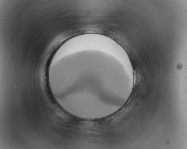 X0000102840339200809151109