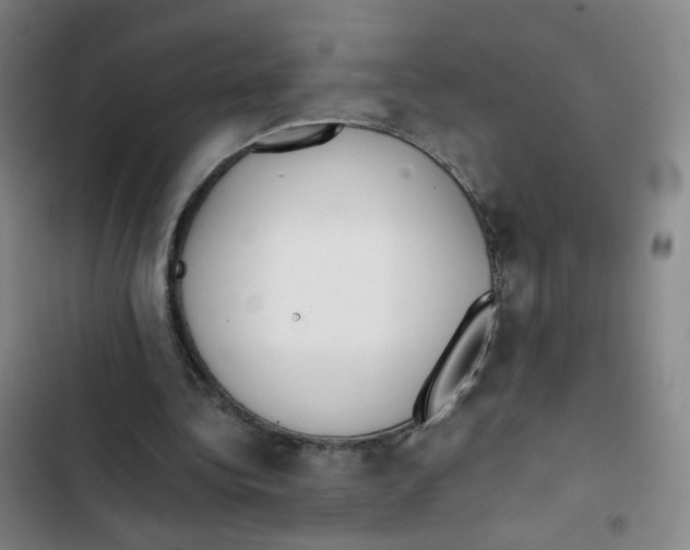 X0000102840340200809151109