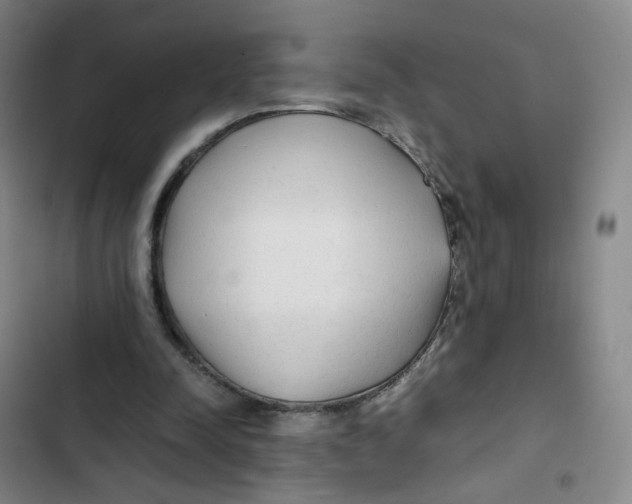 X0000102840342200809151109