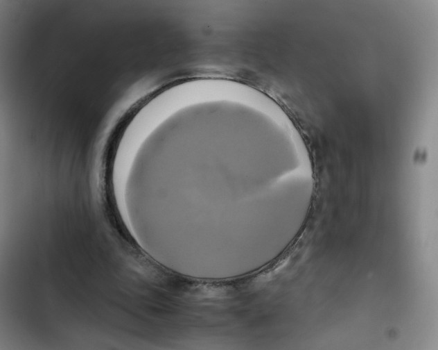 X0000102840343200809151109