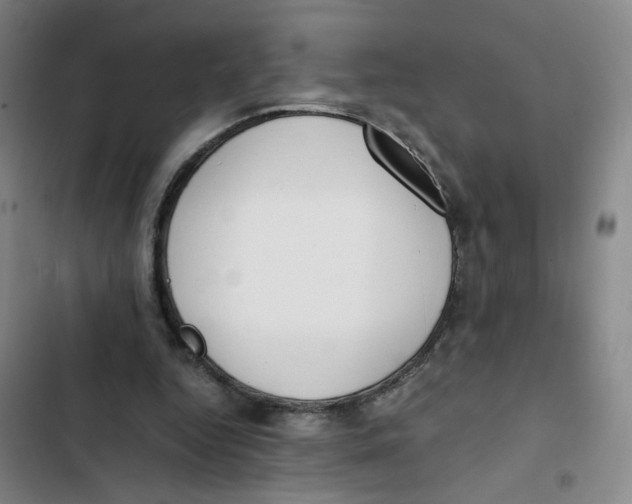 X0000102840344200809151109