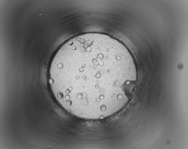 X0000102840345200809151109