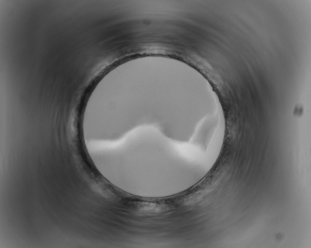 X0000102840347200809151109