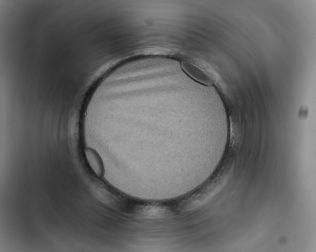 X0000102840348200809151109