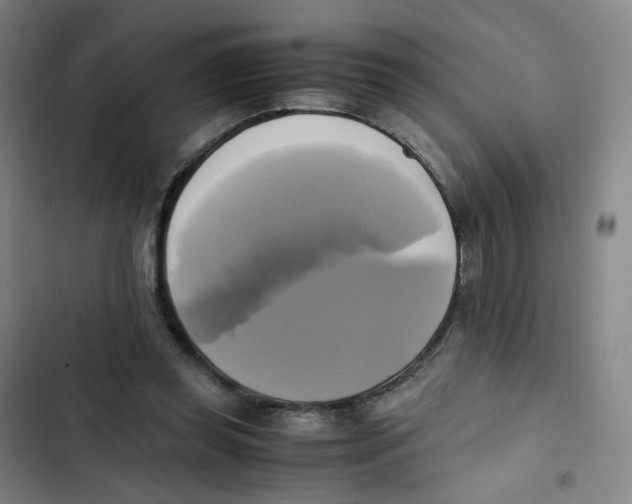 X0000102840349200809151109