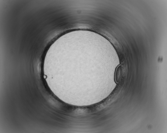 X0000102840350200809151109