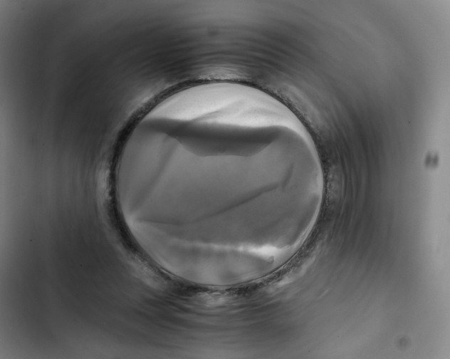 X0000102840351200809151109