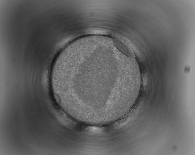 X0000102840352200809151109