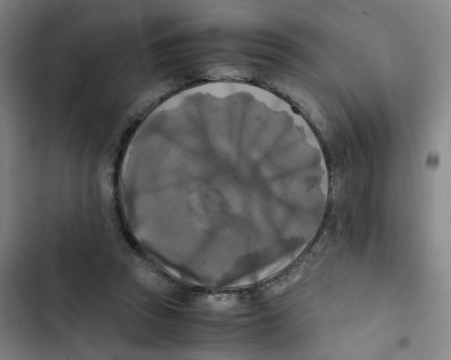 X0000102840353200809151109