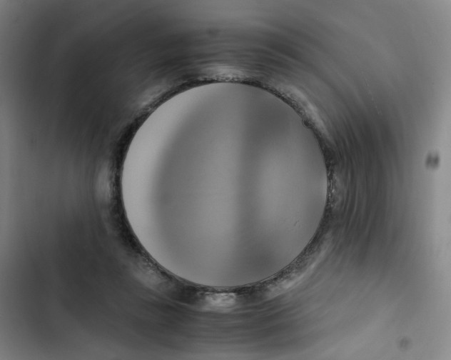 X0000102840355200809151109