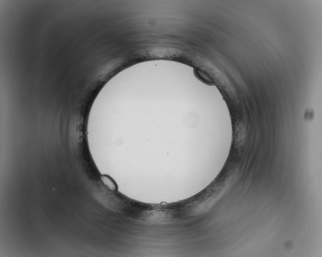 X0000102840356200809151109