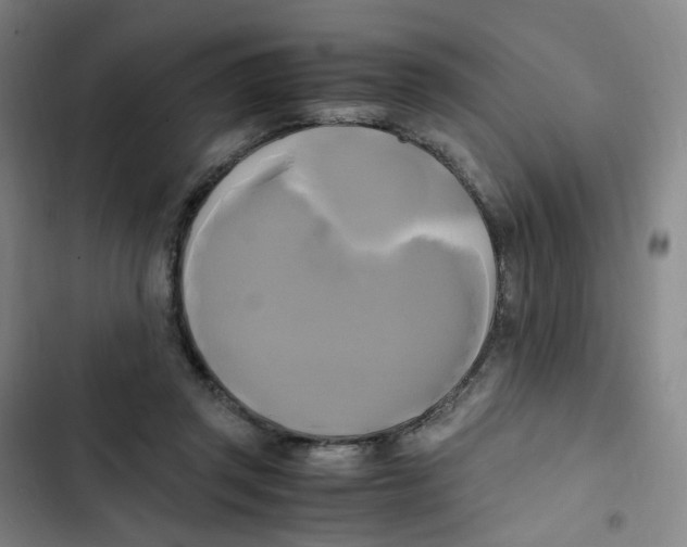 X0000102840357200809151109