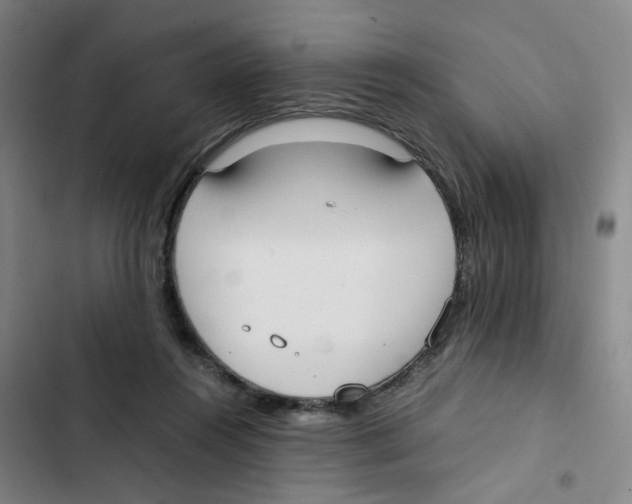 X0000102840360200809151109