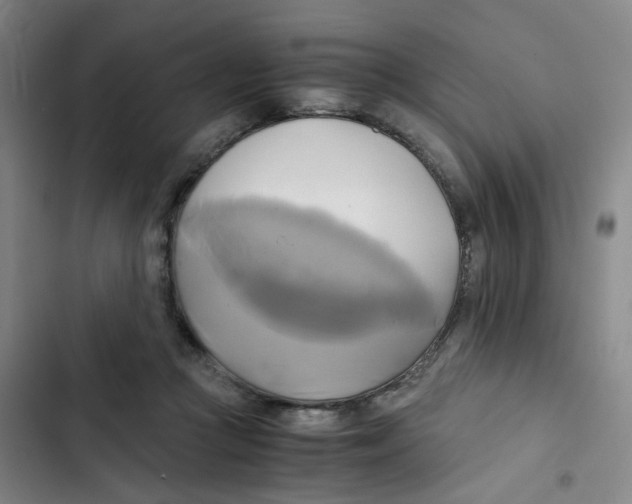 X0000102840361200809151109