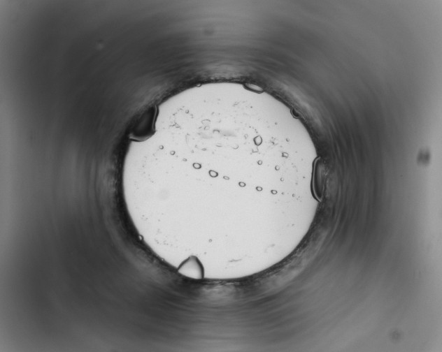 X0000102840362200809151109