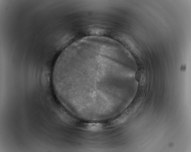 X0000102840363200809151109