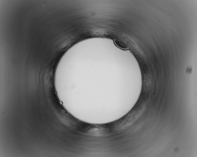 X0000102840364200809151110