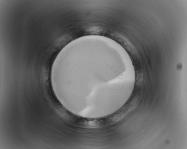 X0000102840365200809151110