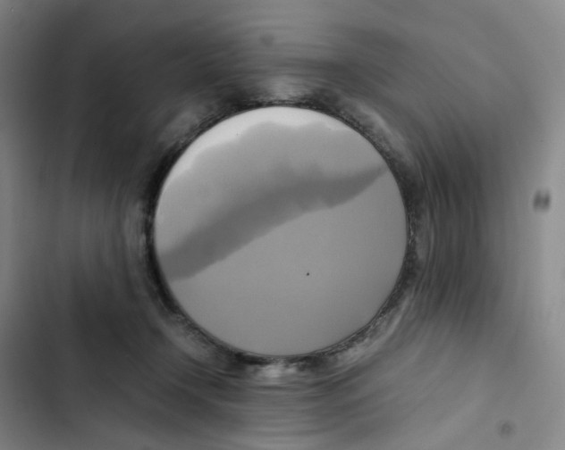 X0000102840366200809151110