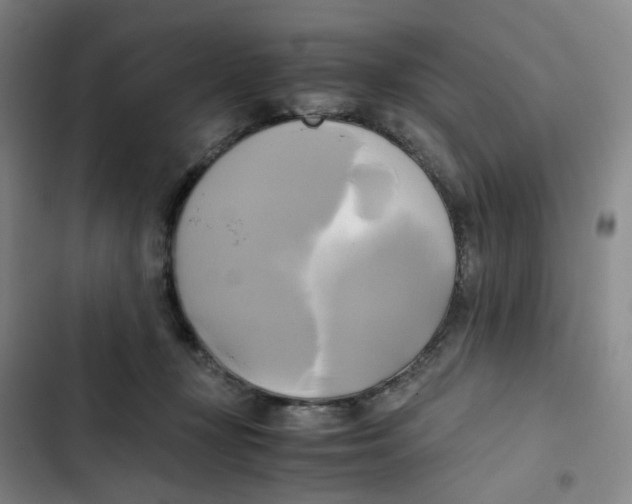 X0000102840367200809151110