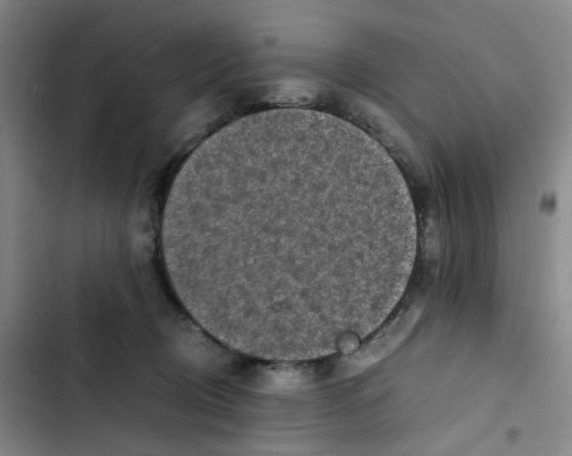 X0000102840370200809151110