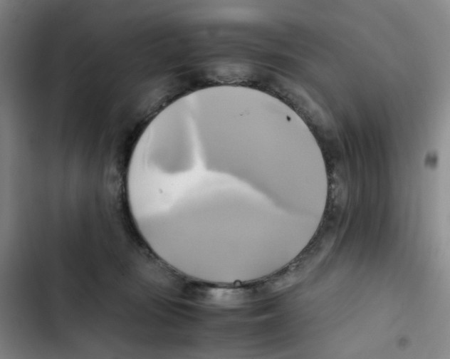 X0000102840371200809151110