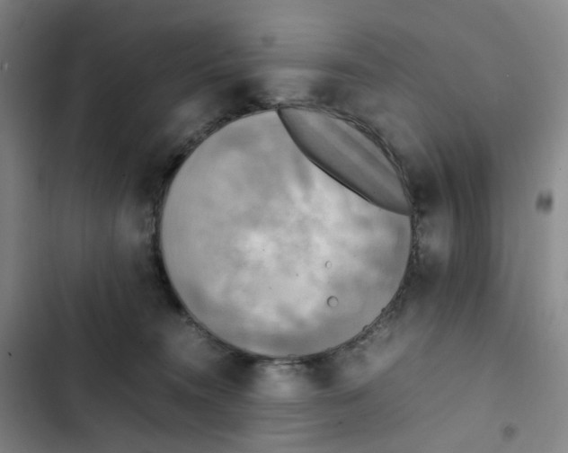 X0000102840372200809151110