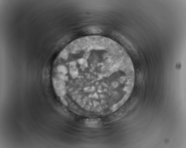 X0000102840373200809151110