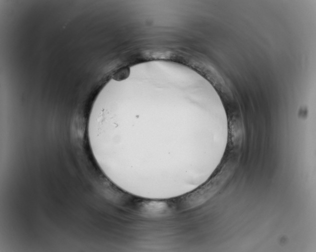 X0000102840374200809151110