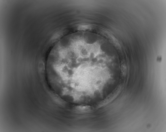 X0000102840375200809151110