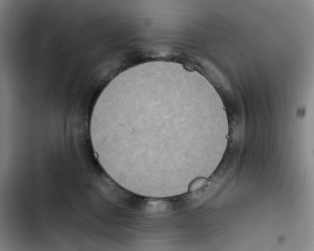 X0000102840376200809151110