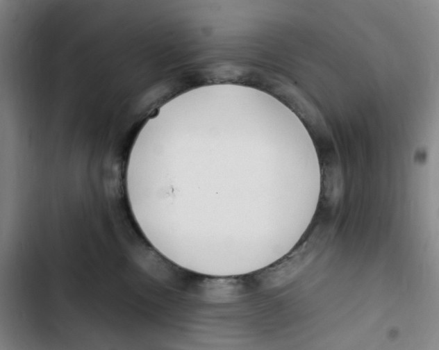 X0000102840378200809151110