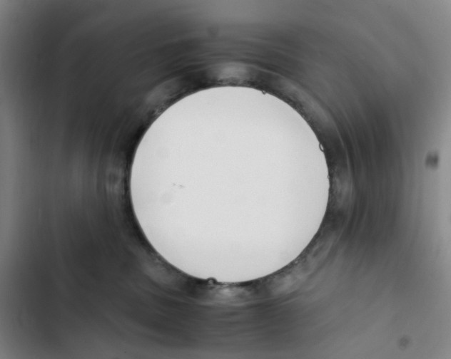 X0000102840379200809151110