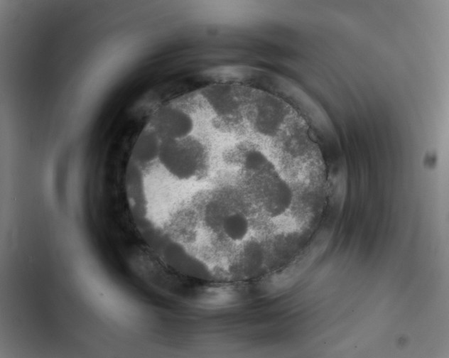 X0000102840381200809151110