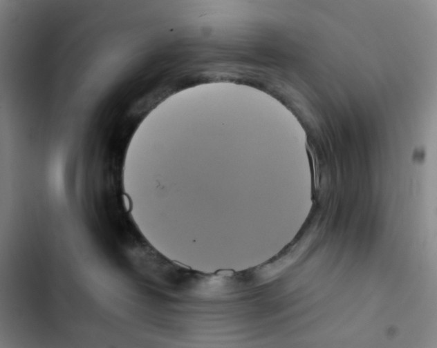 X0000102840382200809151110