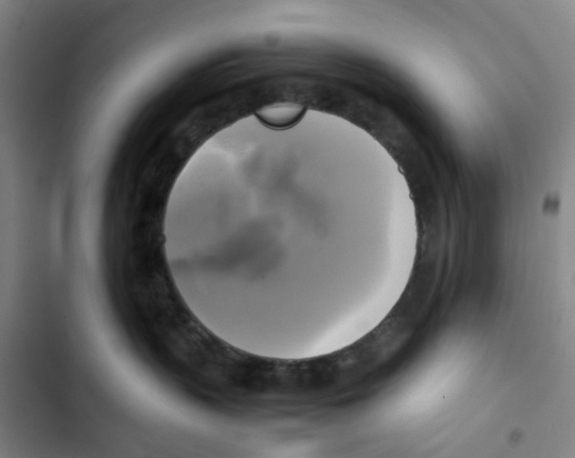 X0000102840383200809151110