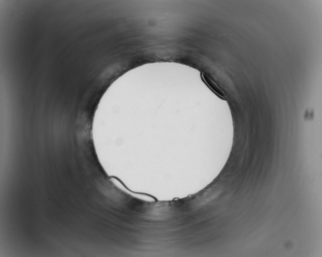 X0000102840384200809151110