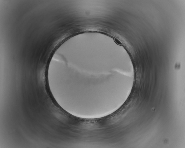 X0000102840386200809151109